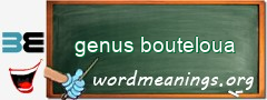 WordMeaning blackboard for genus bouteloua